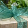 Standard gift box of gourmet brownies with a green ribbon