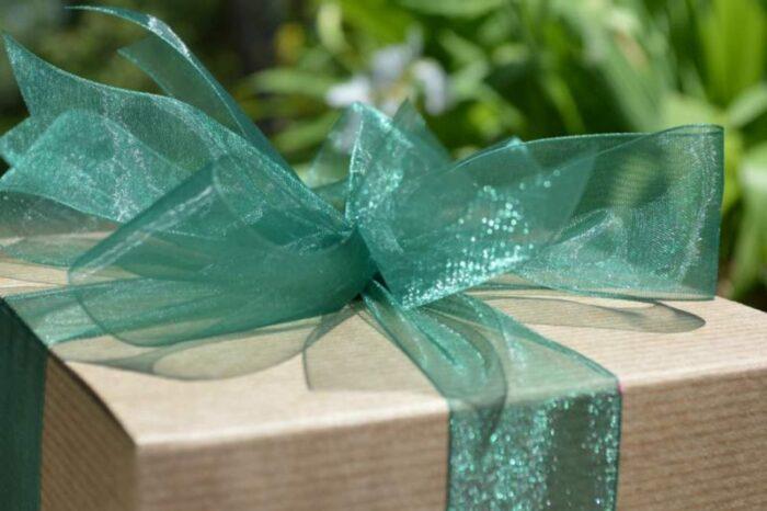 Standard gift box of gourmet brownies with a green ribbon