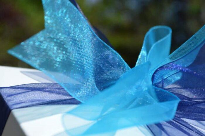 Bold color gift box of chocolate brownies with a blue ribbon